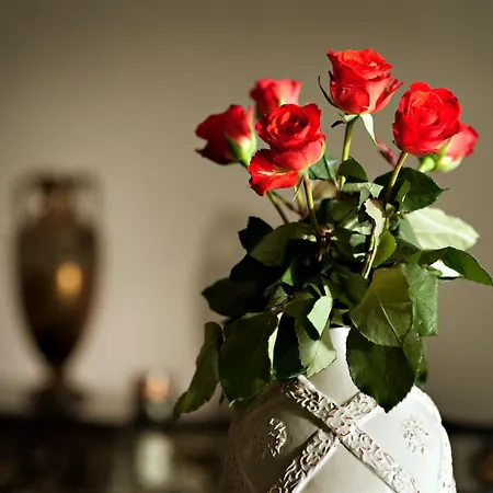 Hotel Antiq Palace - Historic Of Europe