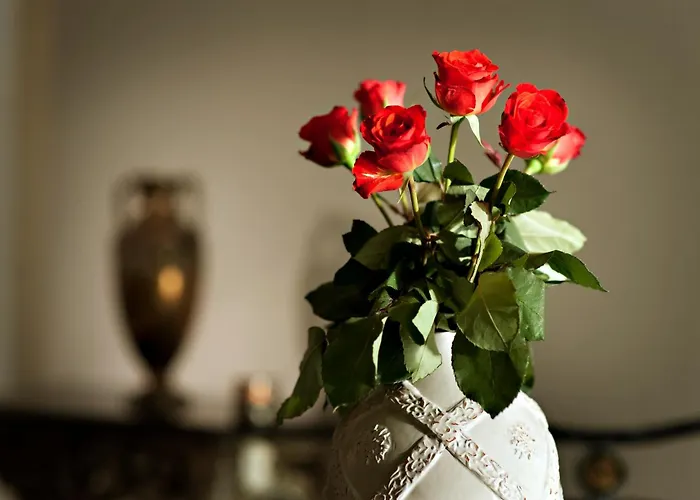 Hotel Antiq Palace - Historic Of Europe